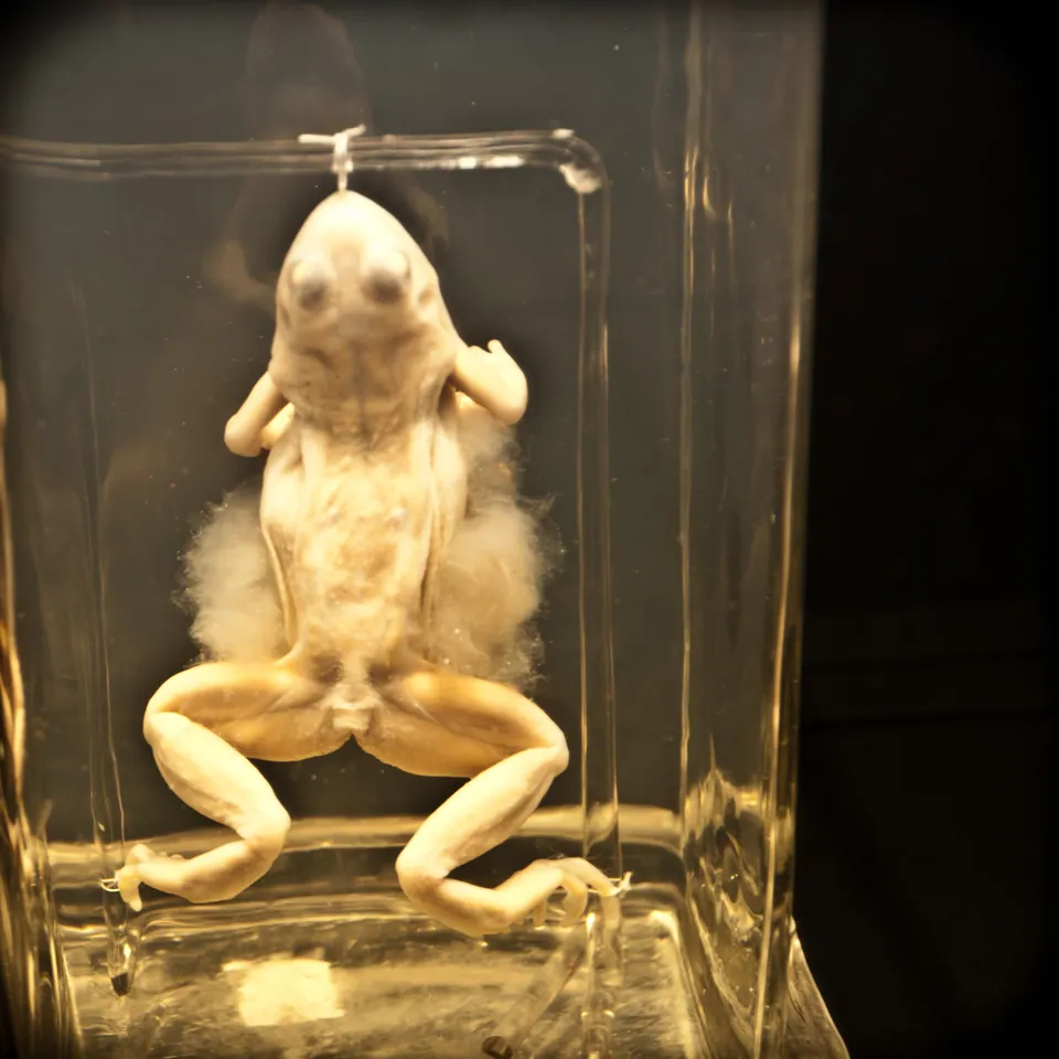 Nemo Science Museum Amsterdam